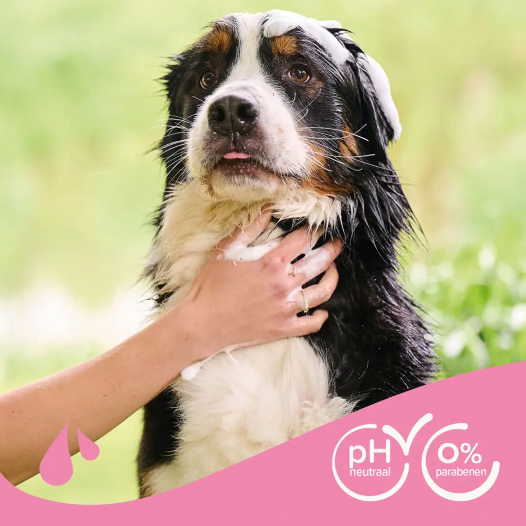 Beaphar Shampoo Hond Langharige Vacht 1L - 3 Stuks