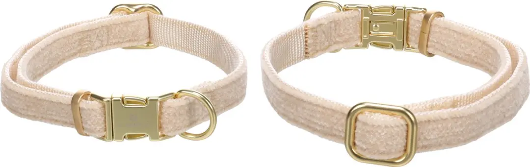 Flamingo Hond Halsband Saba Beige XS