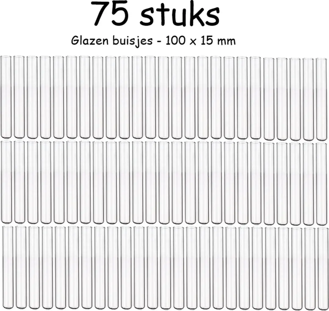 Esschert Design Glazen Stekbuisjes 100x15mm - 75 Stuks - Transparant