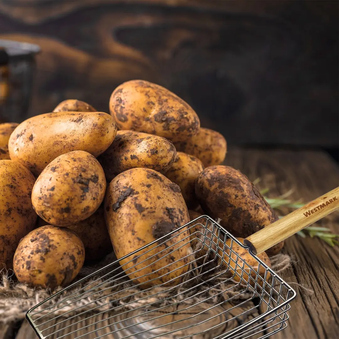 Westmark Aardappelschep 91152270 - Roestvrij staal