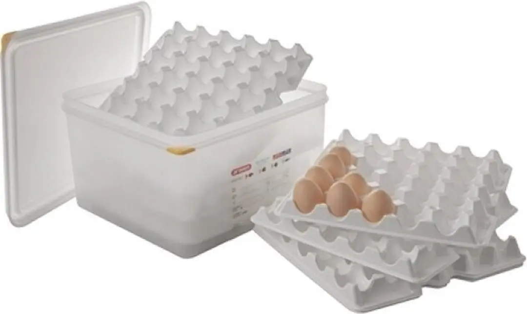 Araven Egg Box GN2-3 - 8 Trays 19L - Zwart