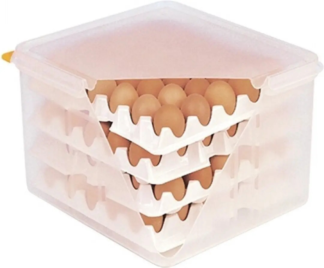 Araven Egg Box GN2-3 - 8 Trays 19L - Zwart