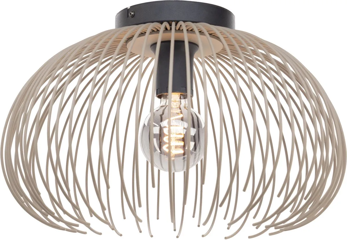 Eglo Venezuela-A Plafondlamp E27