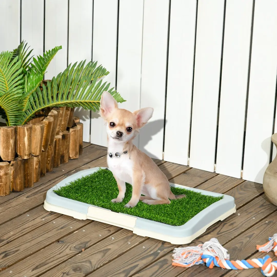 Pawhut Hondentoilet Kunststof 46,5x34x5,5cm - Groen