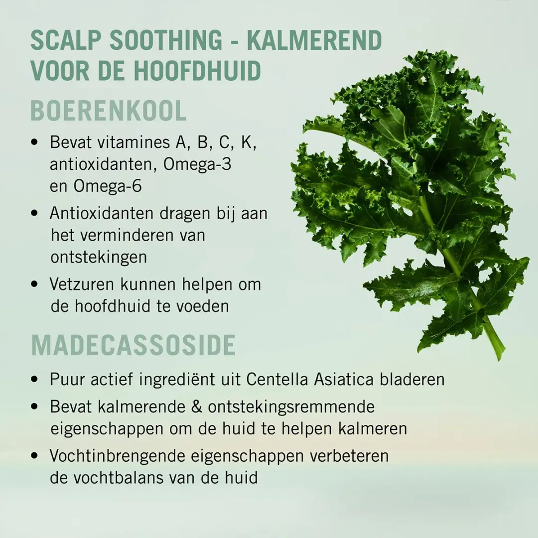 Schwarzkopf BC Scalp Soothing Shampoo 1000ml