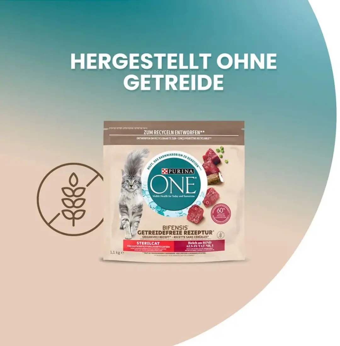 Purina ONE Sterilcat Rundvlees Droogvoer 600g