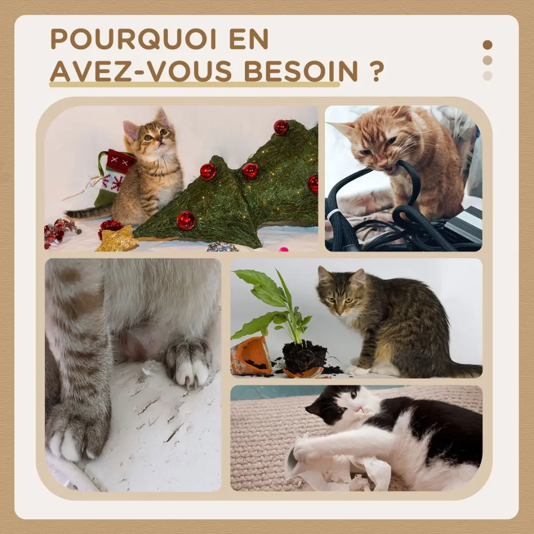 Pawhut Kattenboom 49x49x171cm Beige