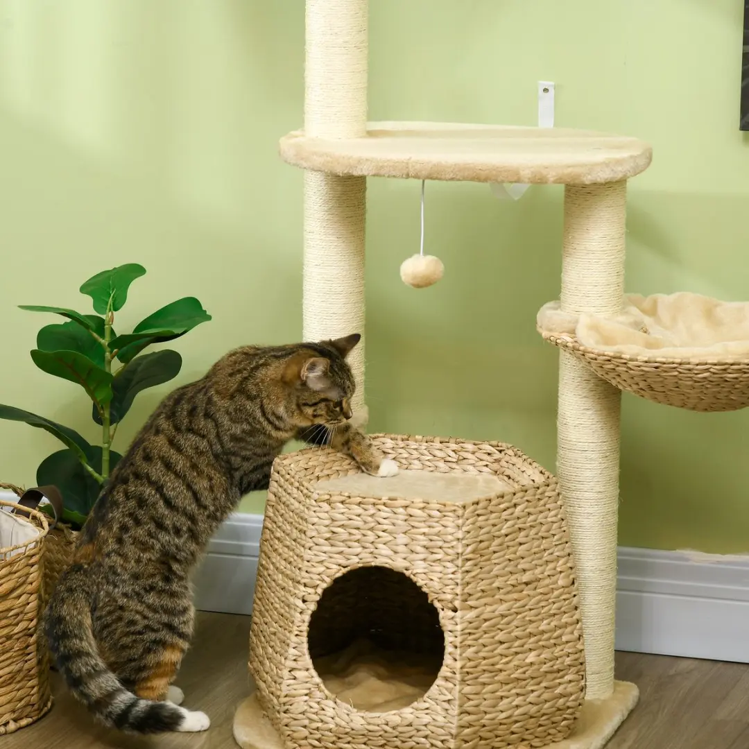 Pawhut Kattenboom 50x50x119cm - Crème