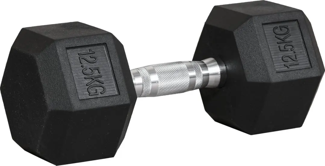 Homcom Rubber Dumbbell 12,5 kg