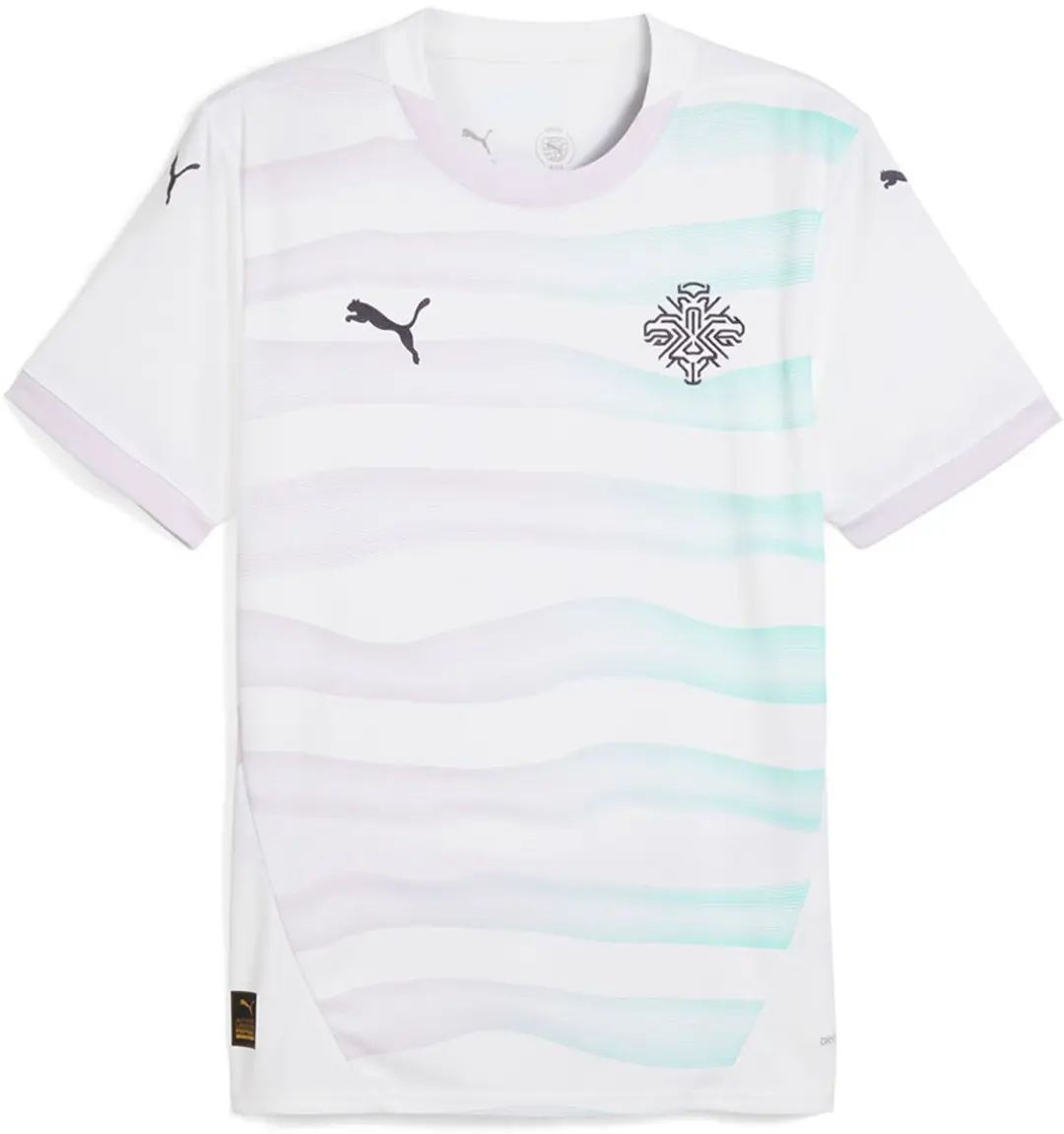 PUMA Iceland 25/26 Replica T-shirt Wit XL