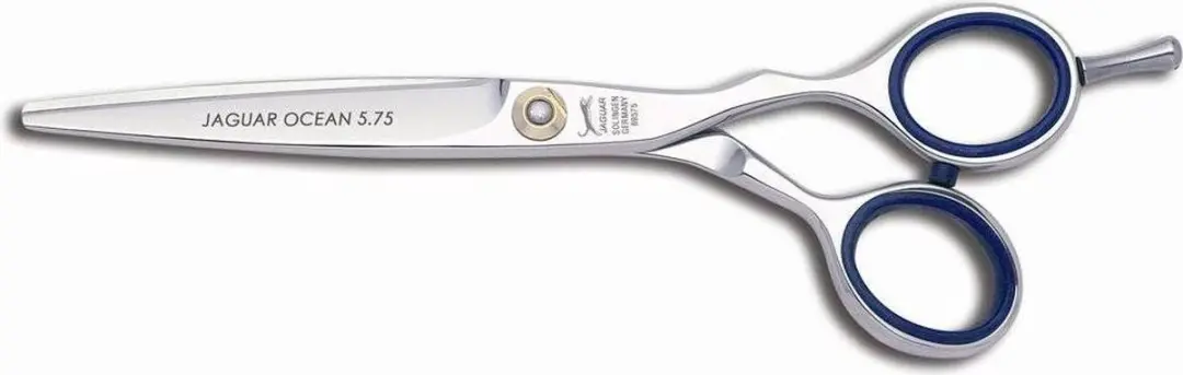 Jaguar Silver Line Ocean Knipschaar 5.75