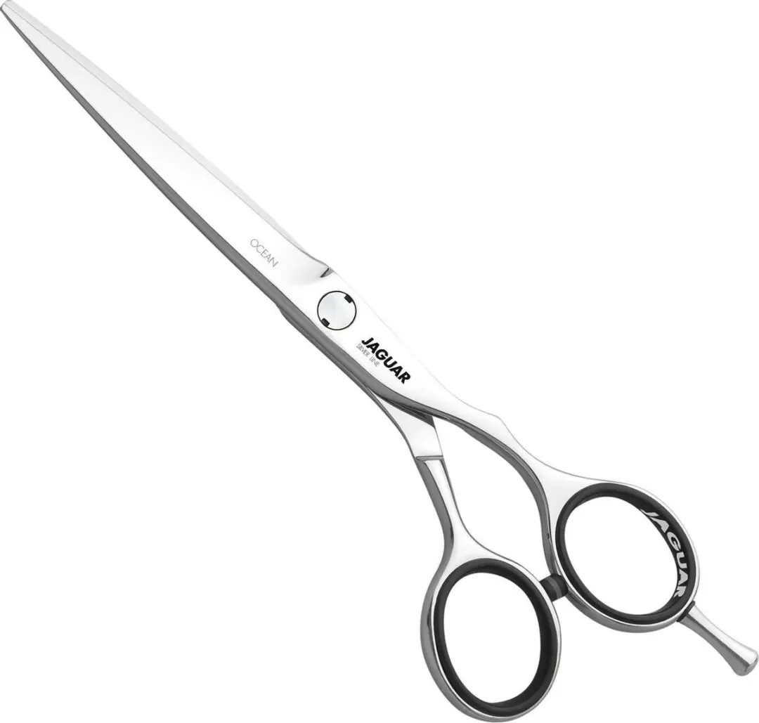 Jaguar Silver Line Ocean Knipschaar 5.75