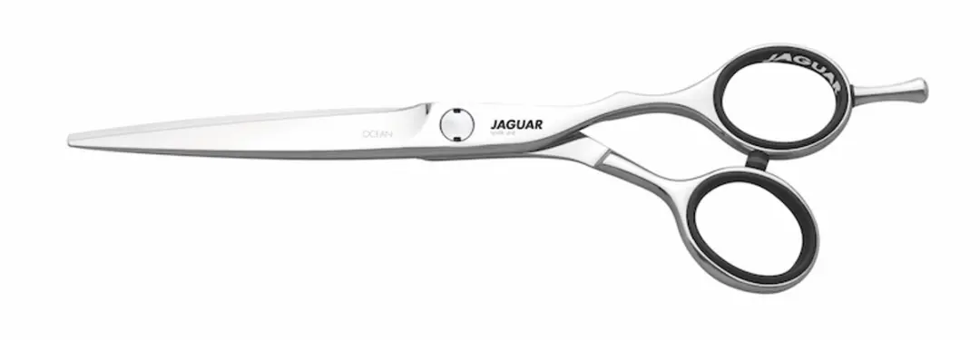 Jaguar Silver Line Ocean Knipschaar 5.75