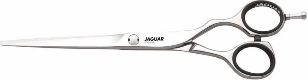 Jaguar Diamond E 43 Schaar