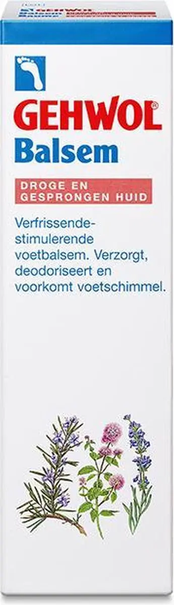 Gehwol Droge Huid Balsem 75ml