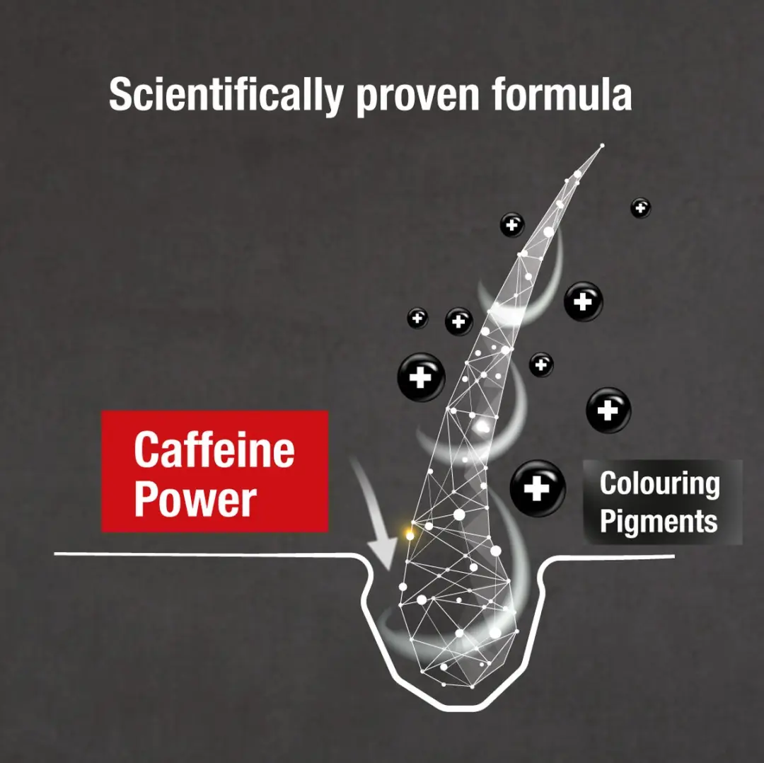 Alpecin Grey Attack Cafeïne Shampoo 2x200ml