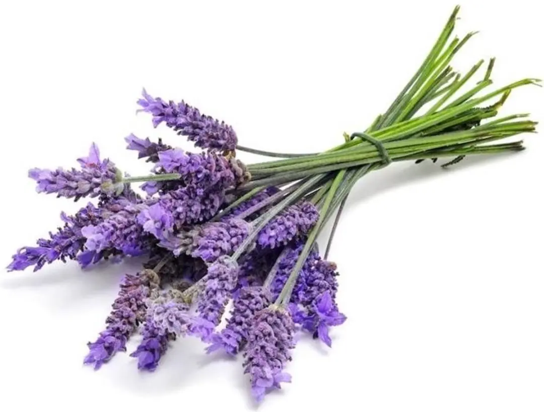 Taylor of Old Bond Street Scheercreme Lavendel 150ml