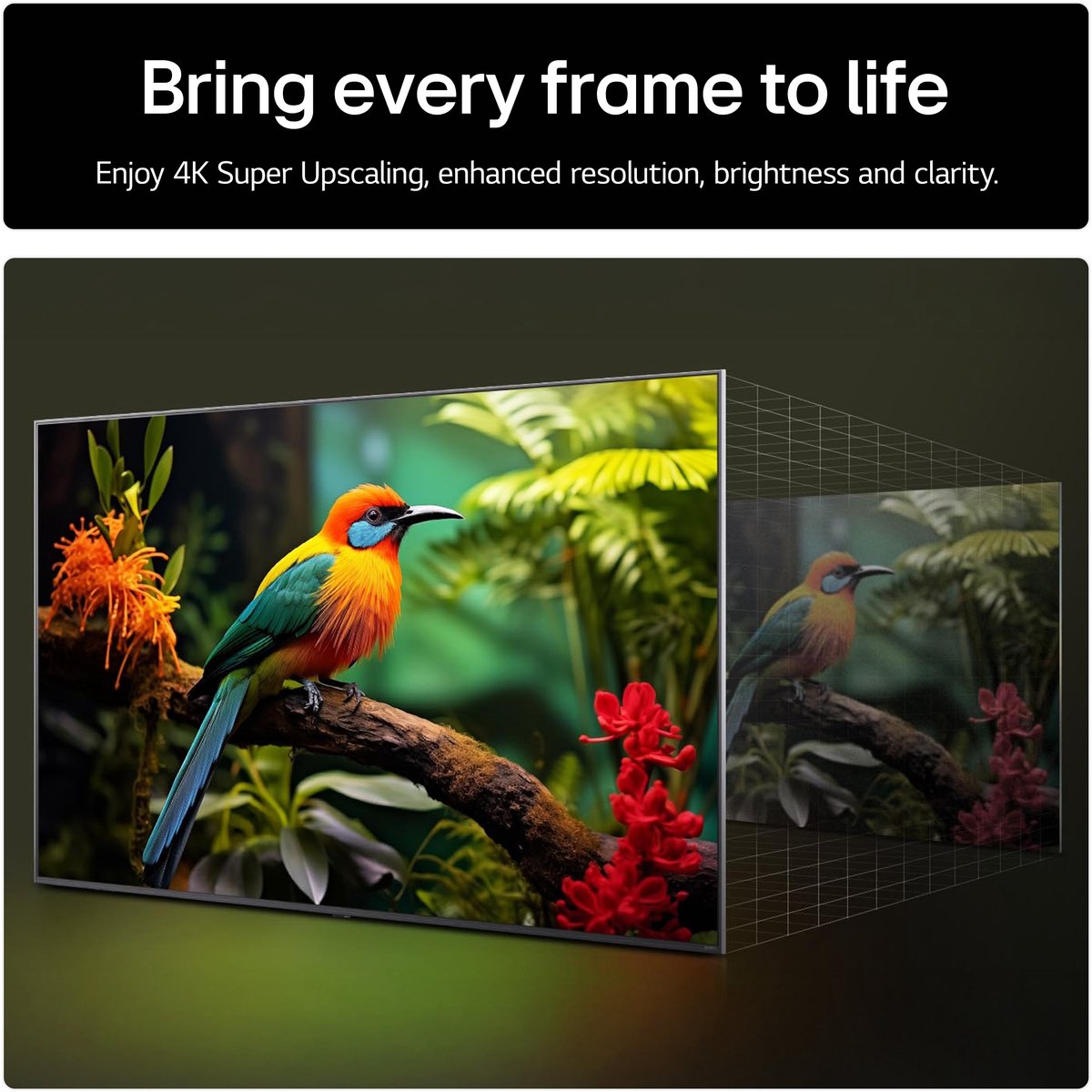 LG 55UA75006LA - 55 inch - 4K LED - 2025