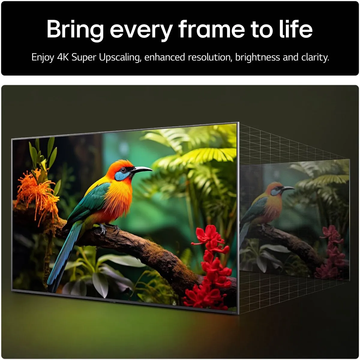 LG 55UA75006LA 55 inch 4K LED TV - Zwart