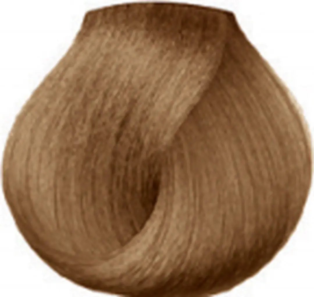 L'Oréal Professionnel Majirel Haarverf 50ml - 8.13 Blond