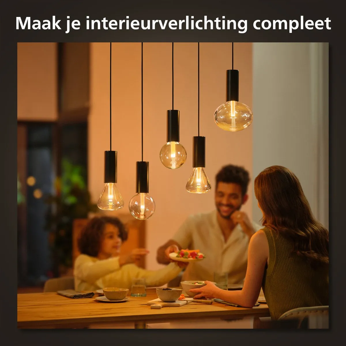 Philips Hue Lightguide Koord E27 - Zwart