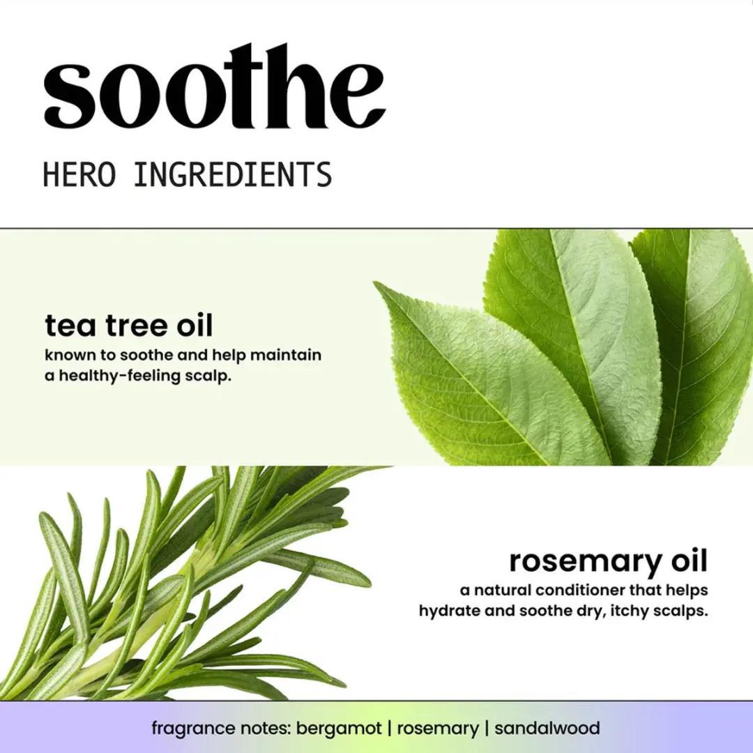 Hask Shampoo Tea Tree Oil & Rosemary 355ml