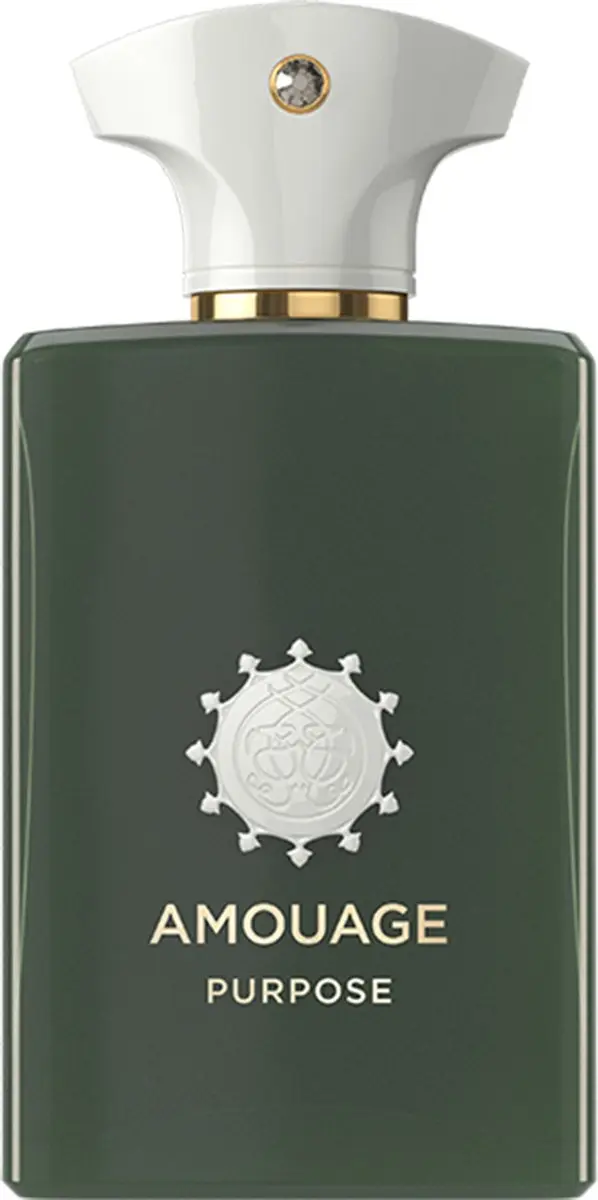Amouage Purpose Man Eau de Parfum 100ml