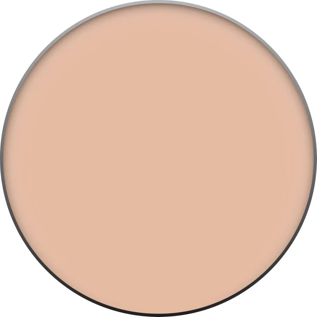 Christian Faye Taupe Wenkbrauwpoeder - 3g - Donker Blond
