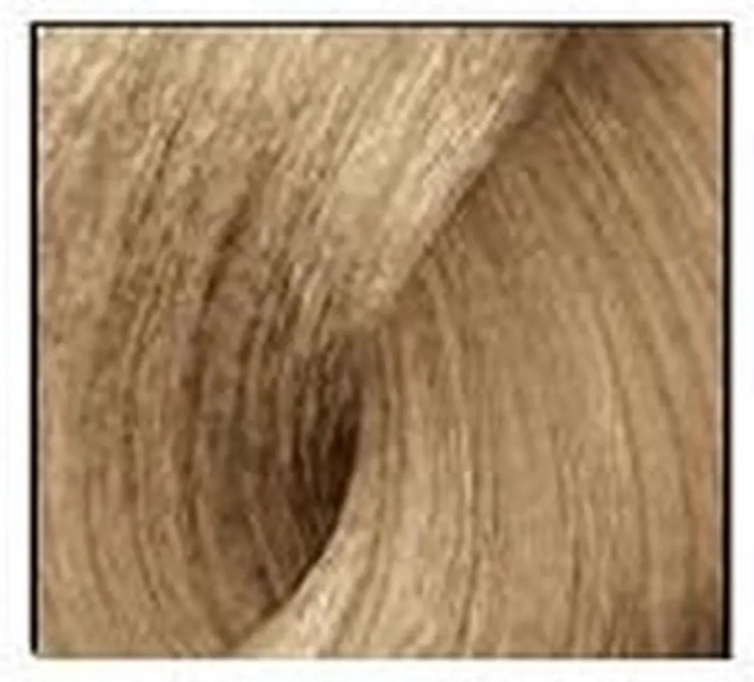 L'Oréal Professionnel iNOA Haarverf 60ml - 9.31