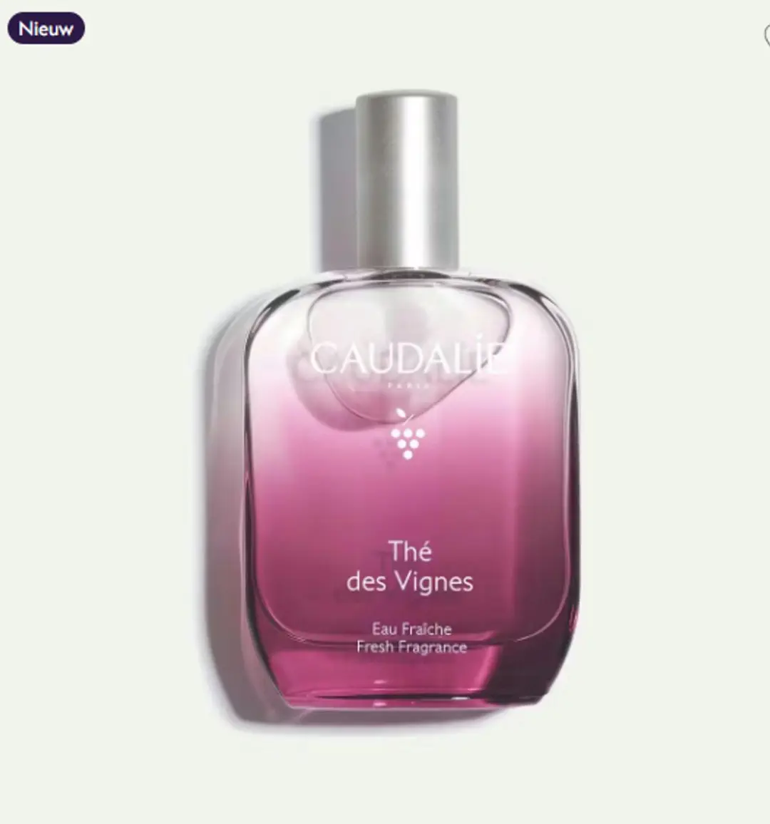Caudalie Thé des Vignes Eau de Parfum 100ml
