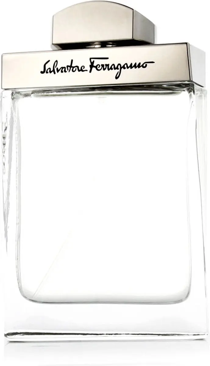 Salvatore Ferragamo Pour Homme Eau de Toilette 100ml