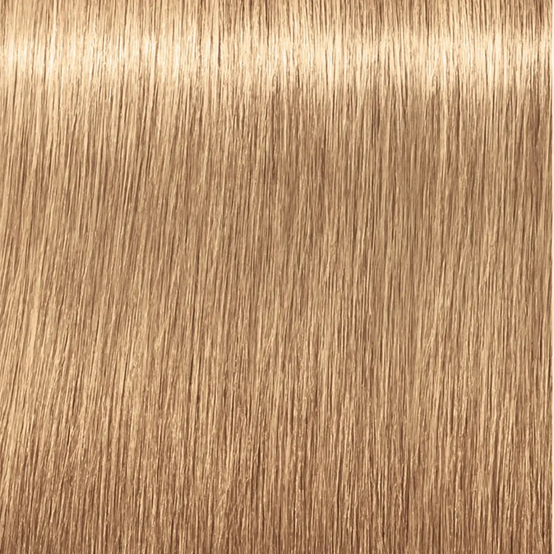 Indola Profession Permanent Caring Color 9.03 Zwart