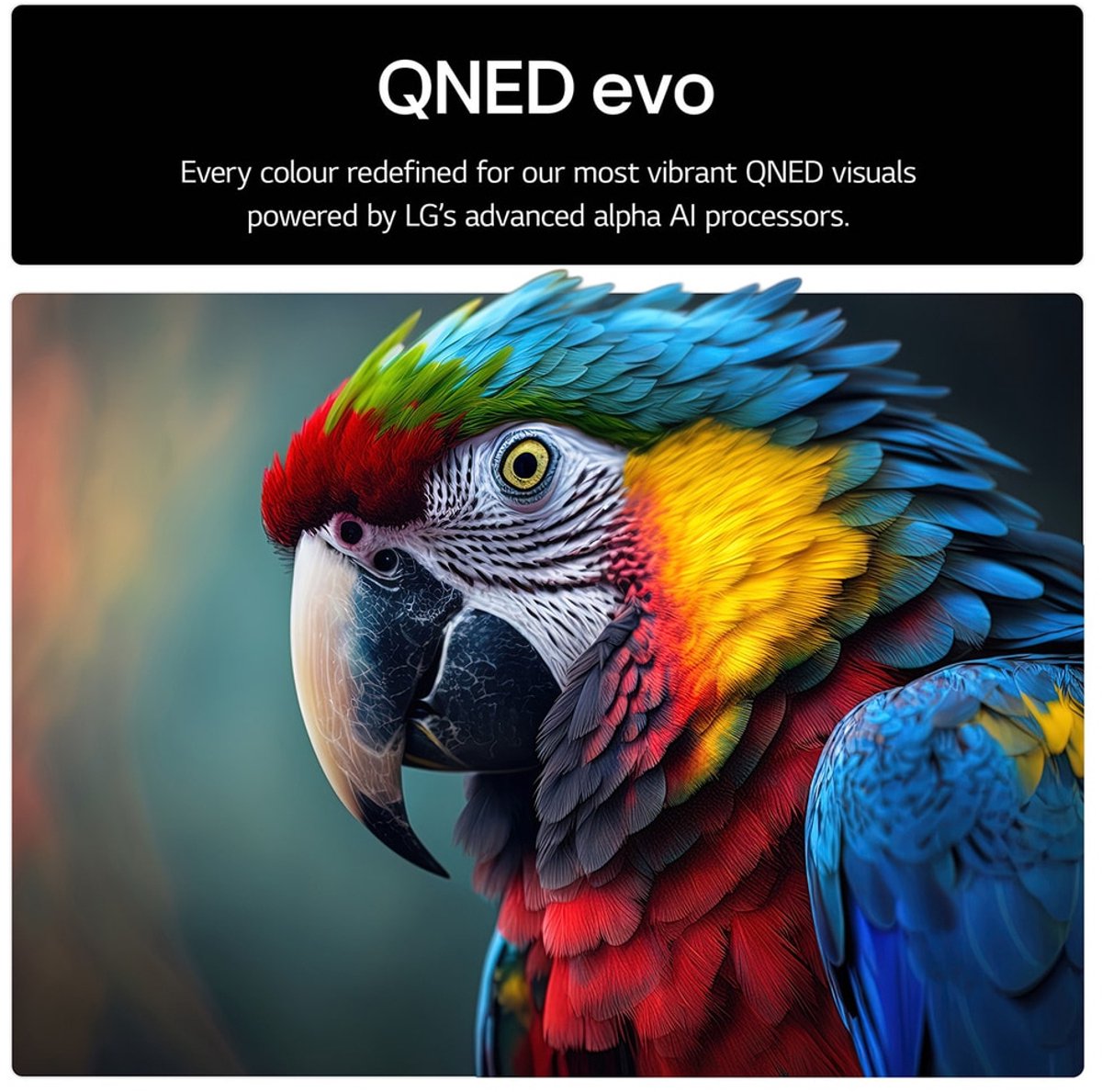 LG 65QNED85A6C - 65 inch - 4K - QNED Evo - 2025