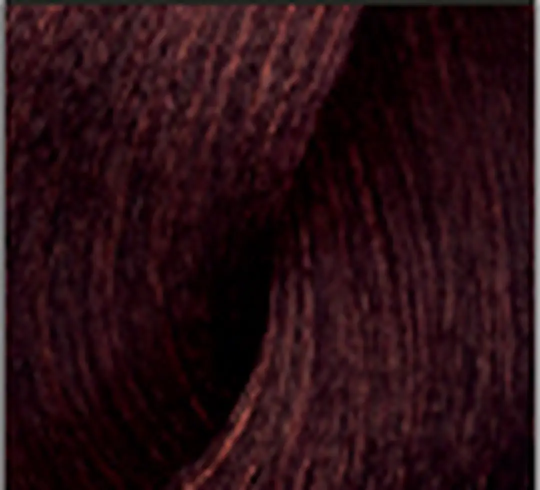 L'Oréal Professionnel iNOA Haarverf 60ml - Rood 4.56