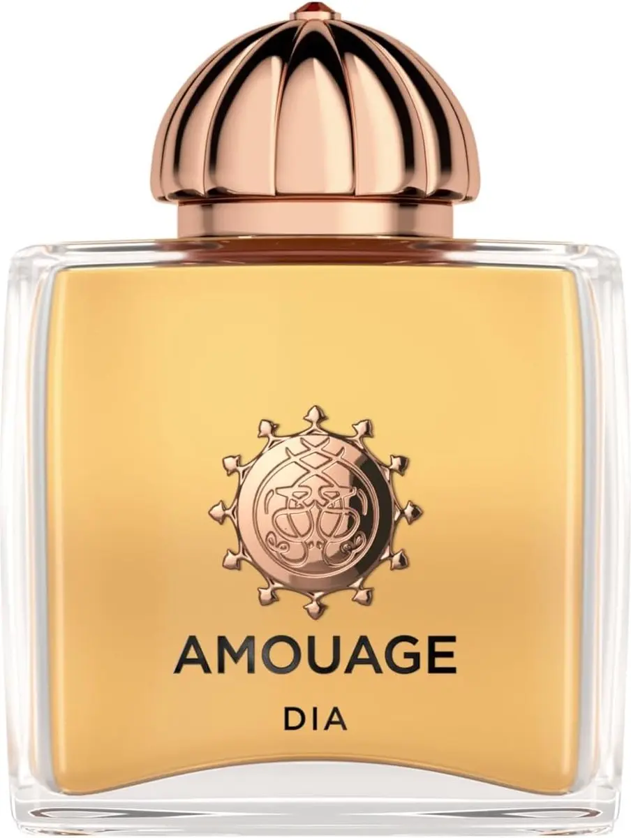 Amouage Dia Extrait de Parfum 100ml