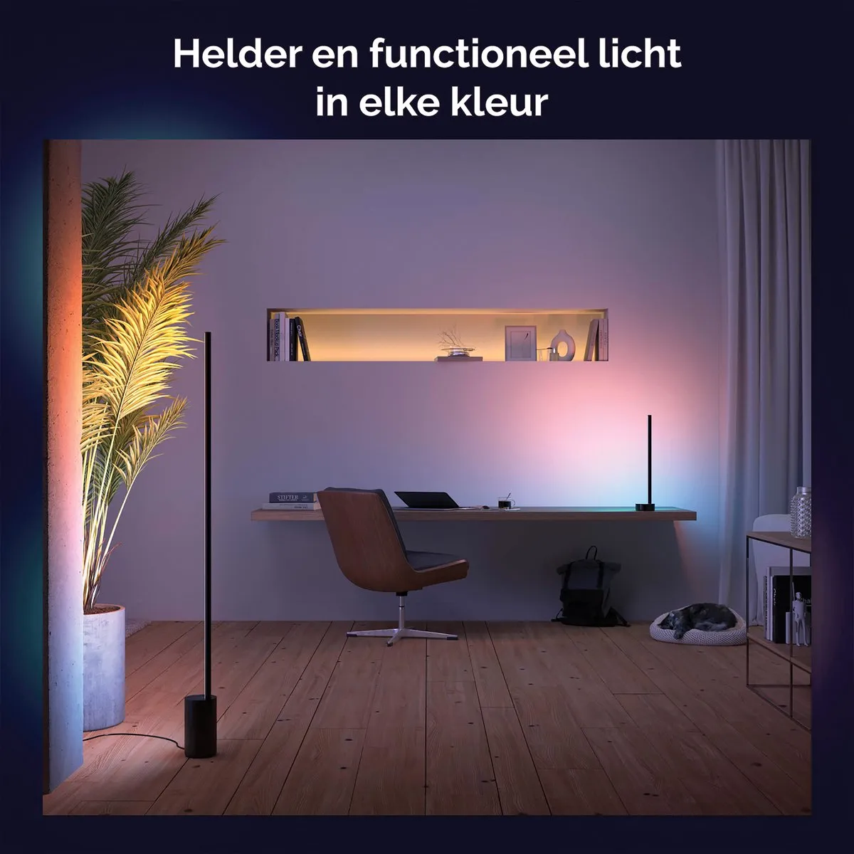 Philips Hue Gradient Signe Tafellamp - Zwart