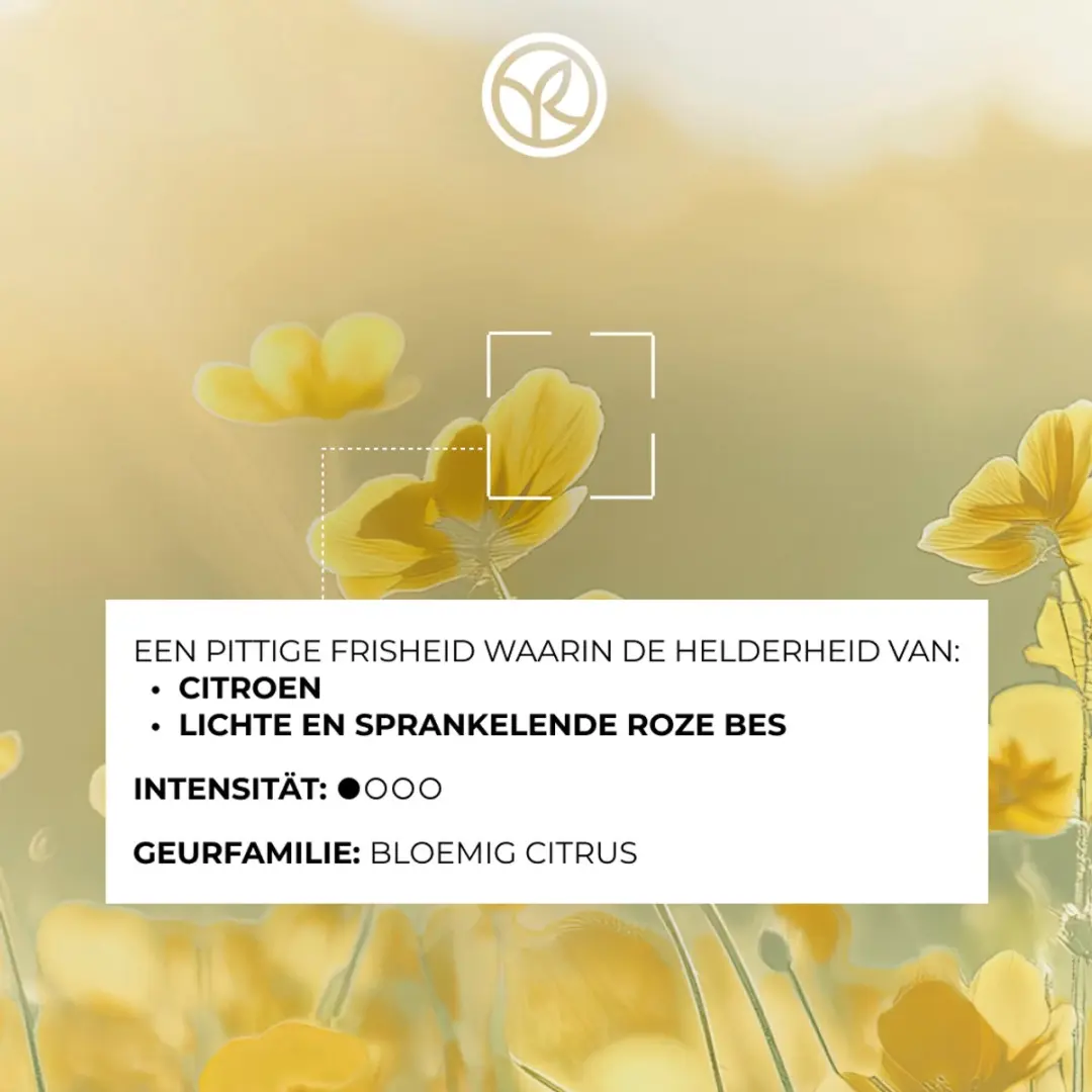 Yves Rocher Eau Fraîche Pétillante Damesparfum - Citroen & Roze Bessen 100ml