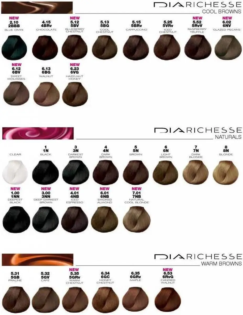 L'Oréal Professionnel Dia Richesse Haarverf 50ml - 9.01 Licht Bruin