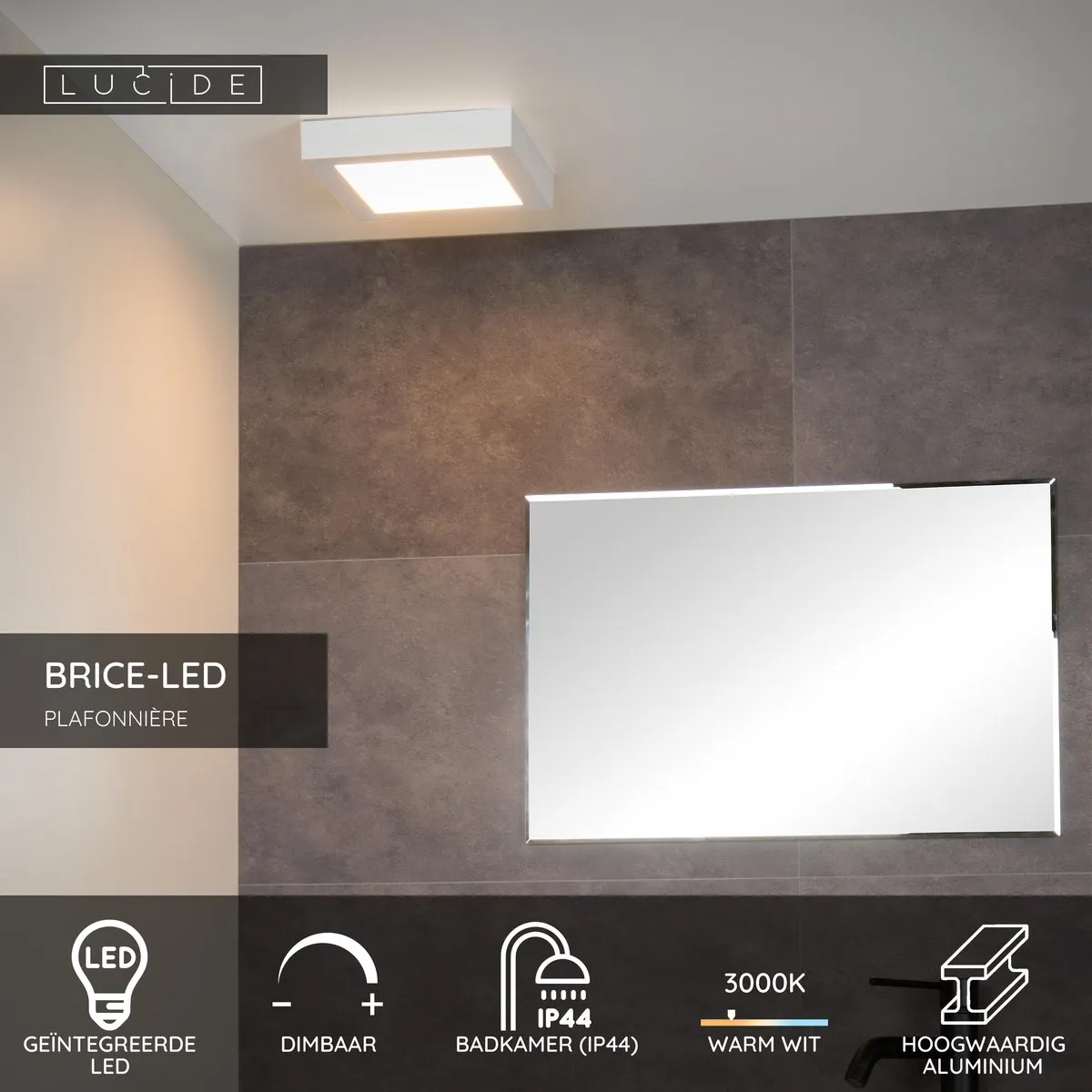 Lucide BRICE-LED Plafondlamp Badkamer 22W 3000K IP44 - Wit