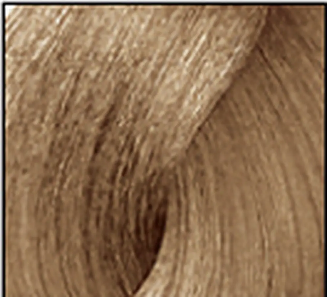 L'Oréal Professionnel iNOA Haarverf 60ml - Kleur 8.13