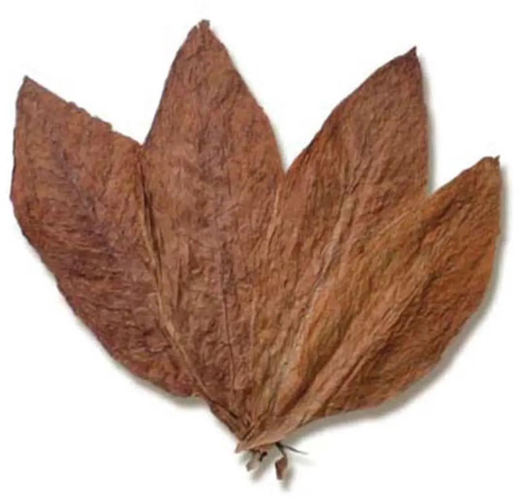 Taylor of Old Bond Street Tobacco Shampoo 250ml