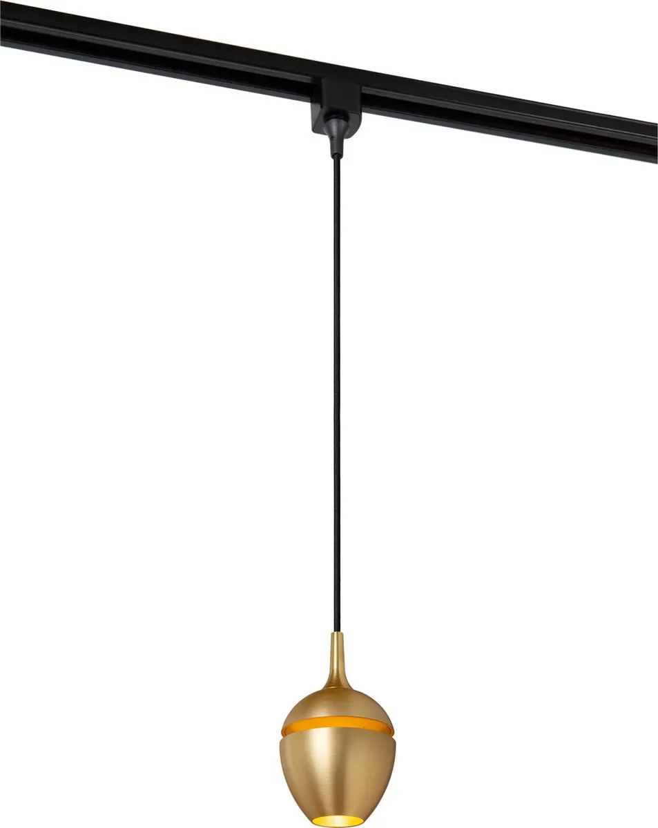 Lucide Track Preston Hanglamp GU10