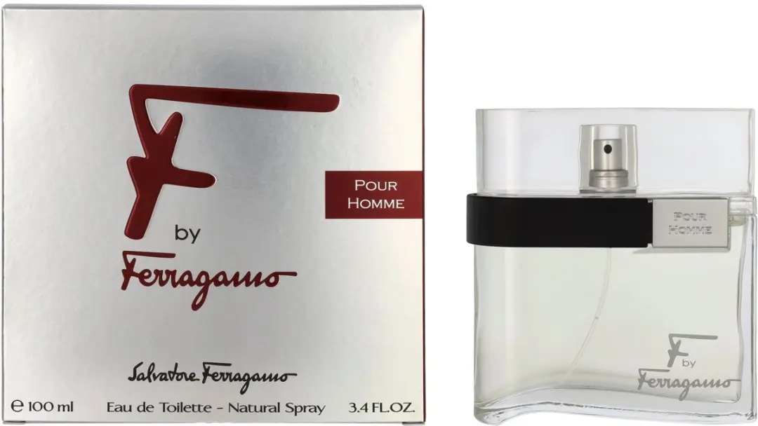 Salvatore Ferragamo F By Ferragamo Herenparfum 100ml