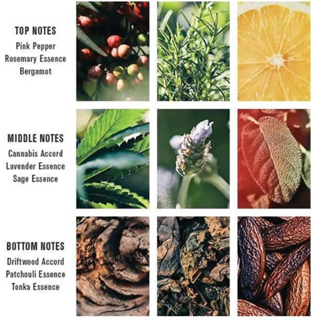 Baxter of California Pacific Cannabis Eau de Parfum 100ml