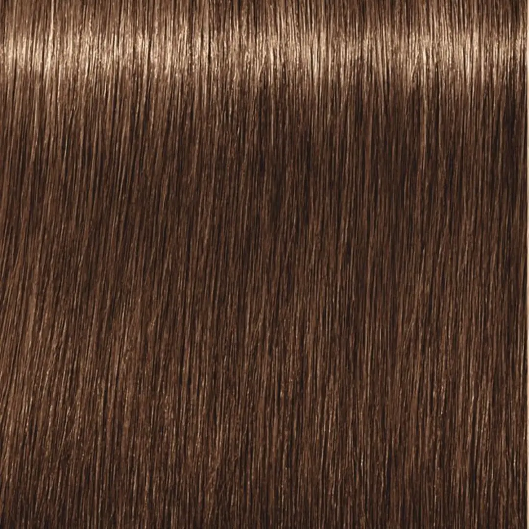 Indola Profession Permanent 6.03 Donker Blond Natuur Goud - 3 Tubes