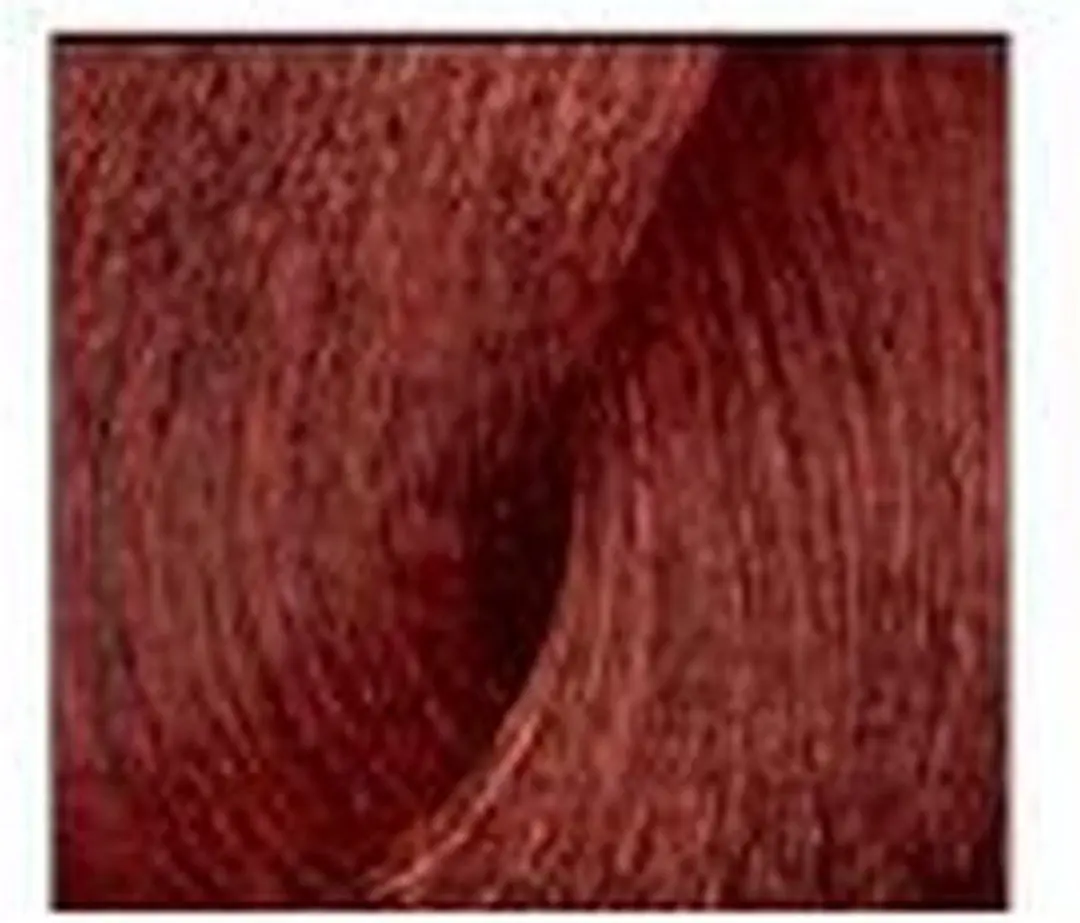 L'Oréal Professionnel iNOA Haarverf C5.6 - 60ml