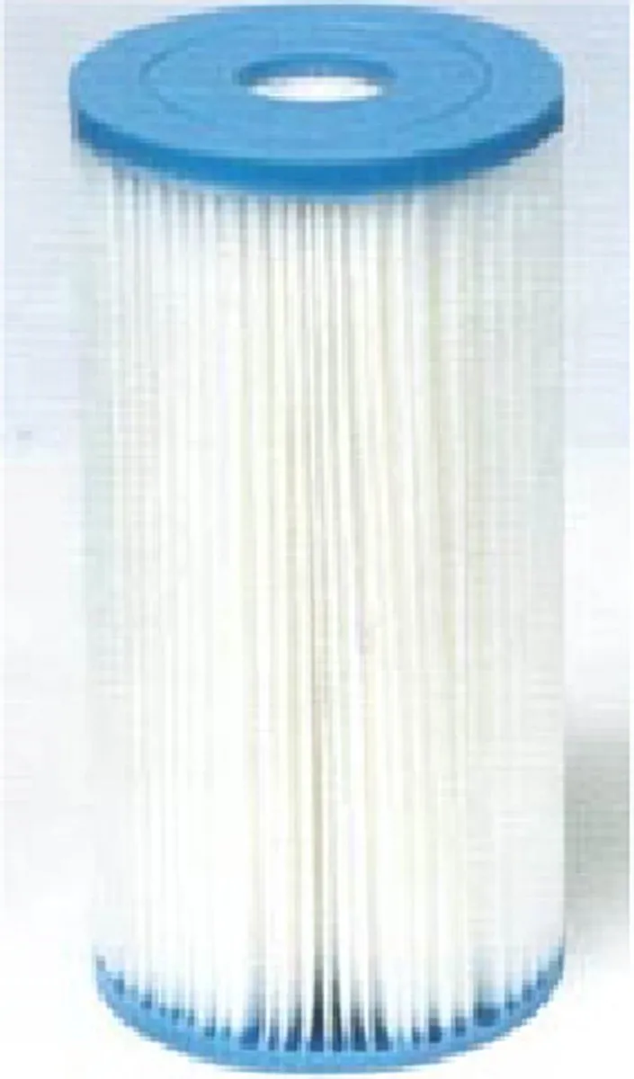 Intex Filter 59901