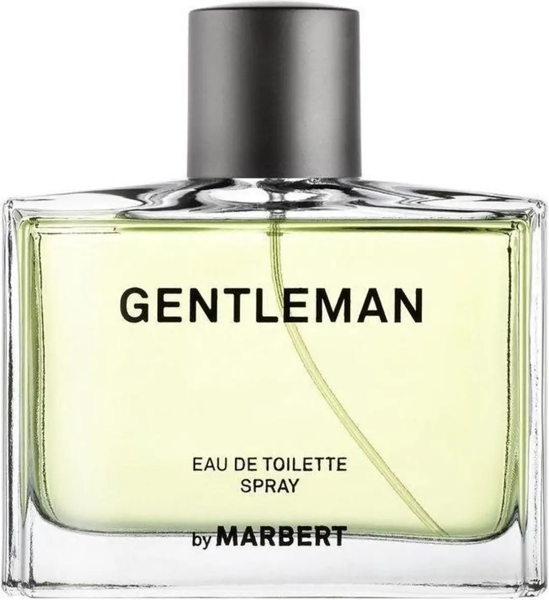 Marbert Gentleman EDT Spray 100ml