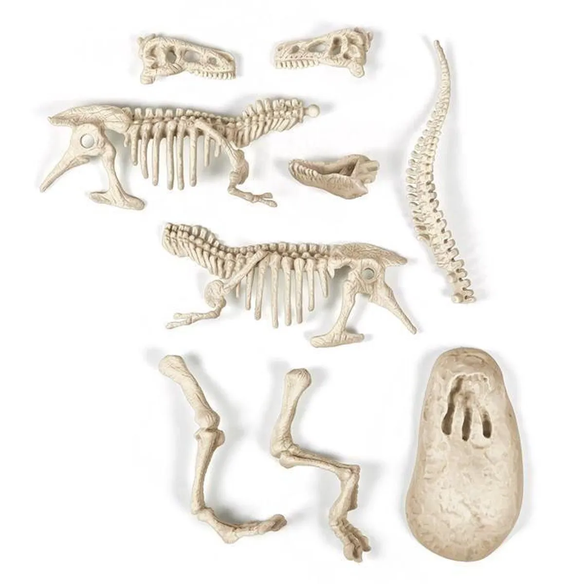 Clementoni Archéo Ludic T-Rex - Multicolor - afbeelding 3 van 5