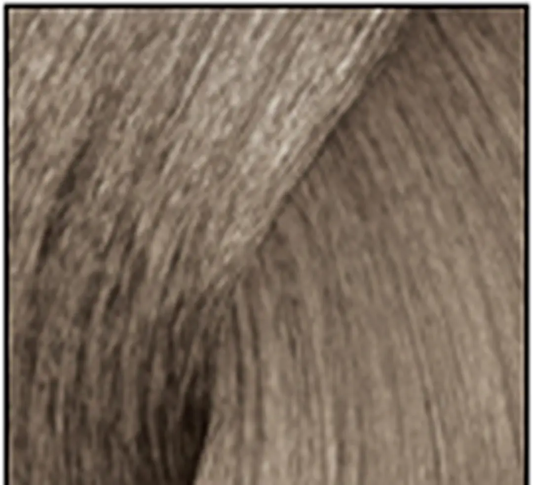 L'Oréal Professionnel iNOA Haarverf 60ml - Kleur 9.11